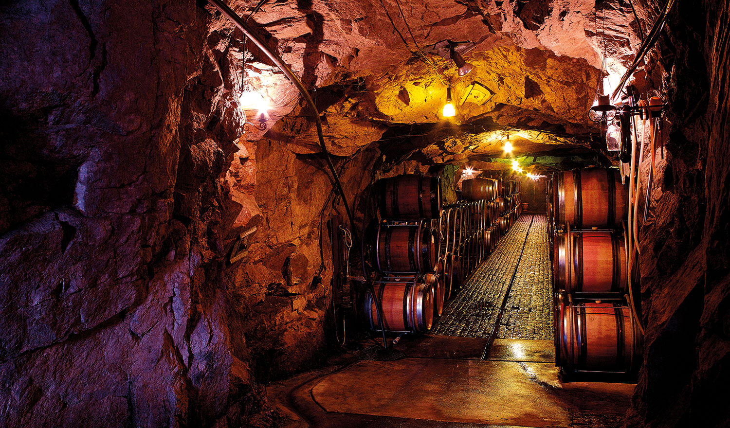 the-cave-giaconda-wines – Essentials Magazine Australia