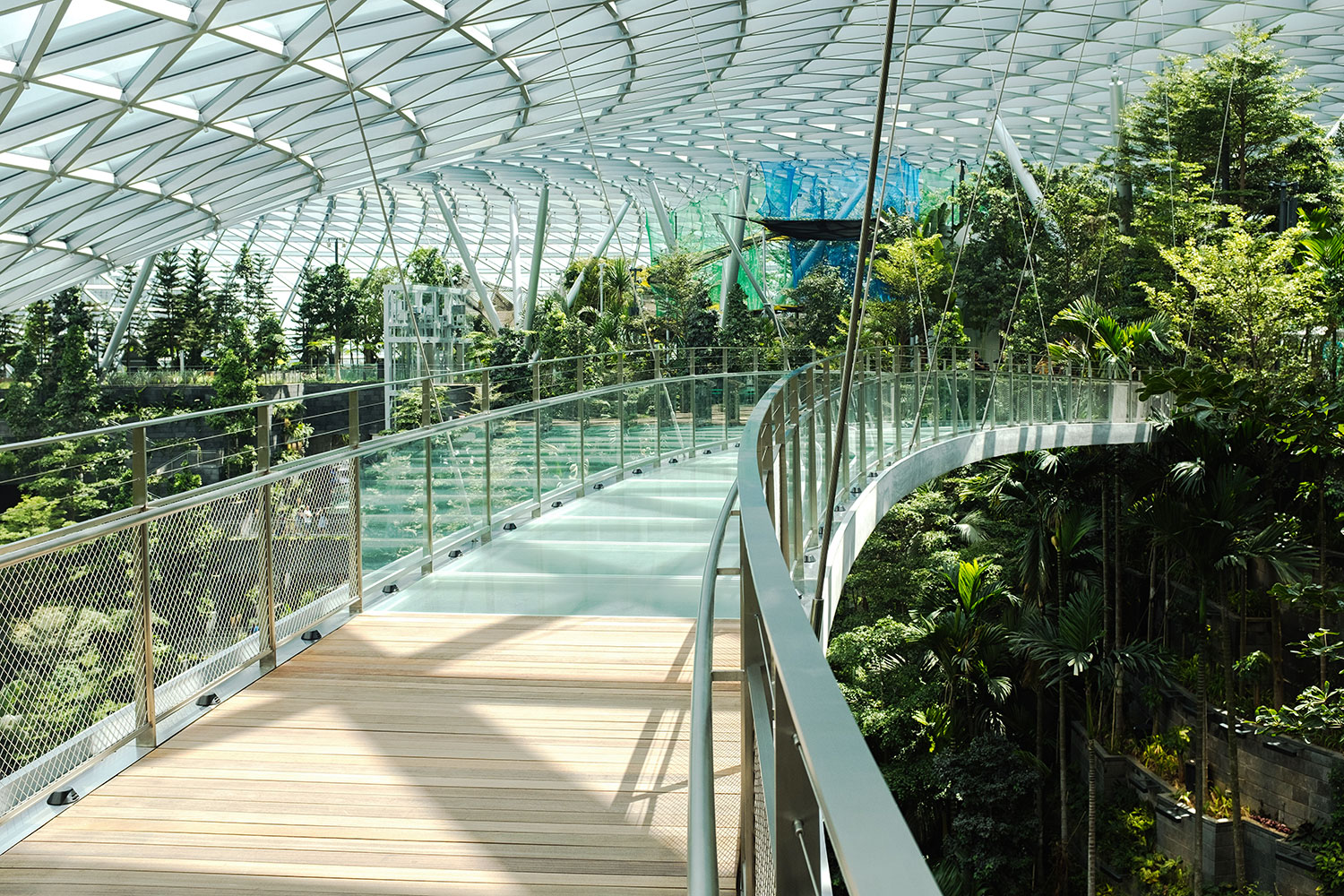 Jewel Changi Airport's Canopy Park is spread over 14,000 square metres and is home to more than 1400 trees and palms.