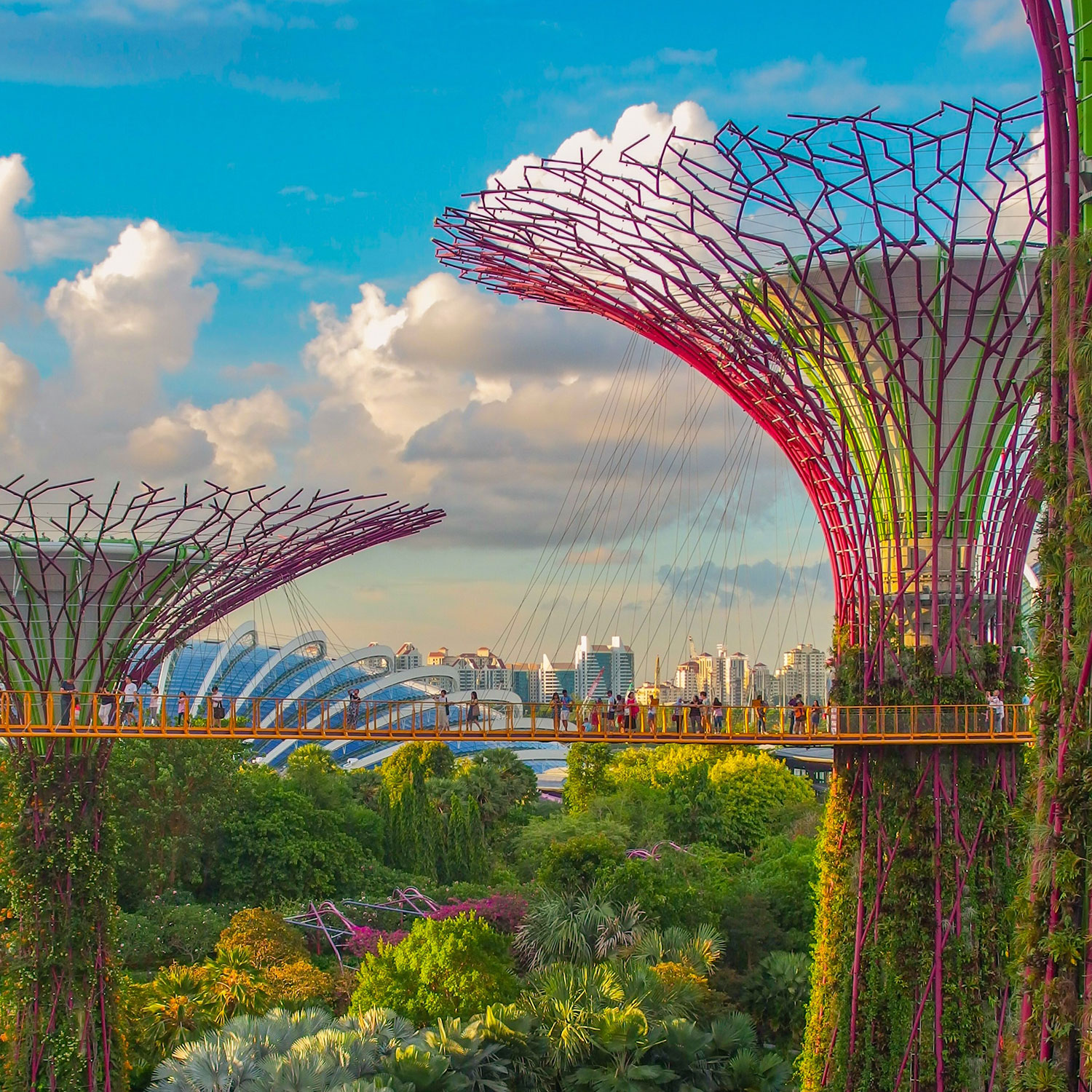 Super Tree Grove at Gardens by the Bay - photo: Coleen Rivas
