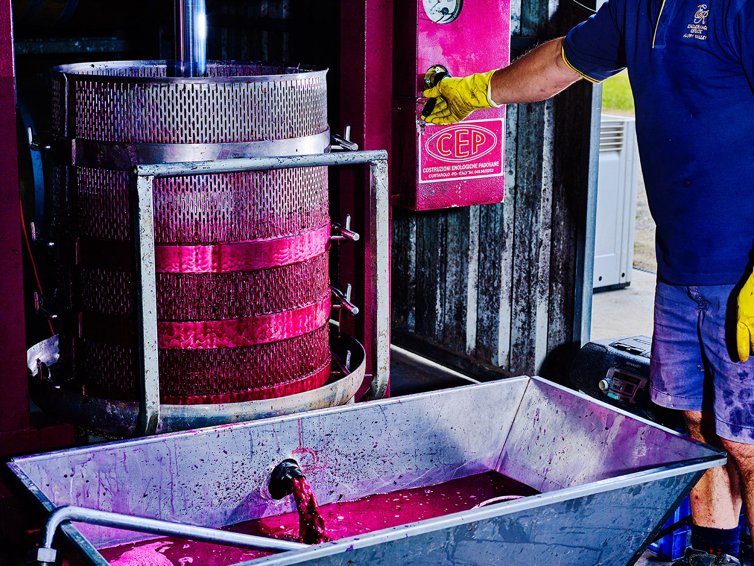 Pressing out the primary fermented skins of the 2021 Tempranillo.