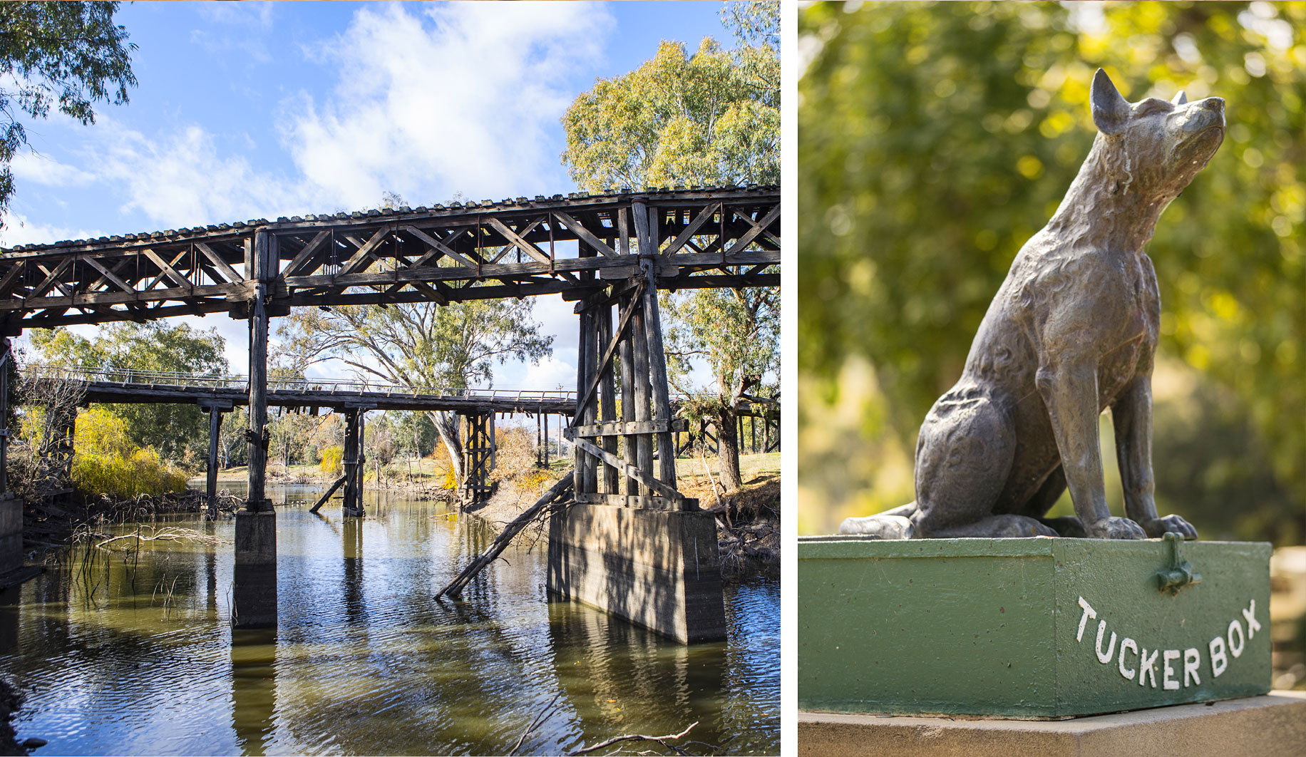 The Railway Bridge and Prince Alfred Bridge Viaduct | The Dog on the Tuckerbox sculptor, by Frank Rusconi