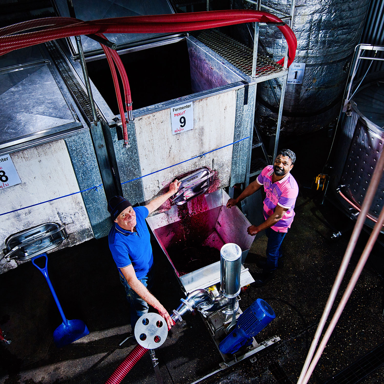 Winemaker John Stolks extracts juice from the winery's open vat fermenters, with assistant Manny