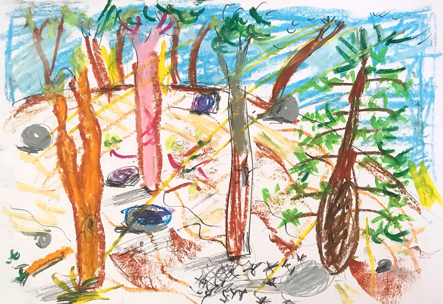 Andy Pye Bottle Tree Study (Oil stick and graphite on paper), 21 x 29.7cm